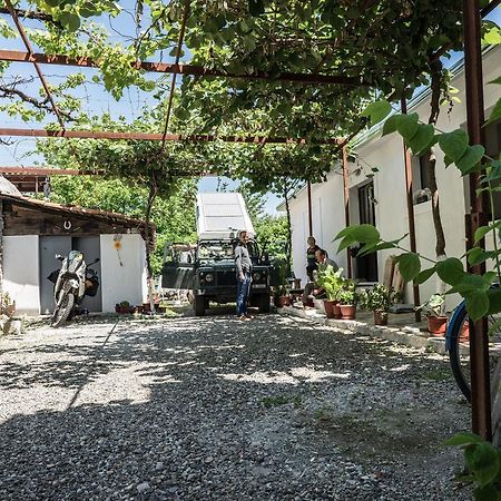 Eco Garten Guest House Shkodër Eksteriør billede