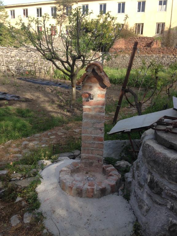Eco Garten Guest House Shkodër Eksteriør billede