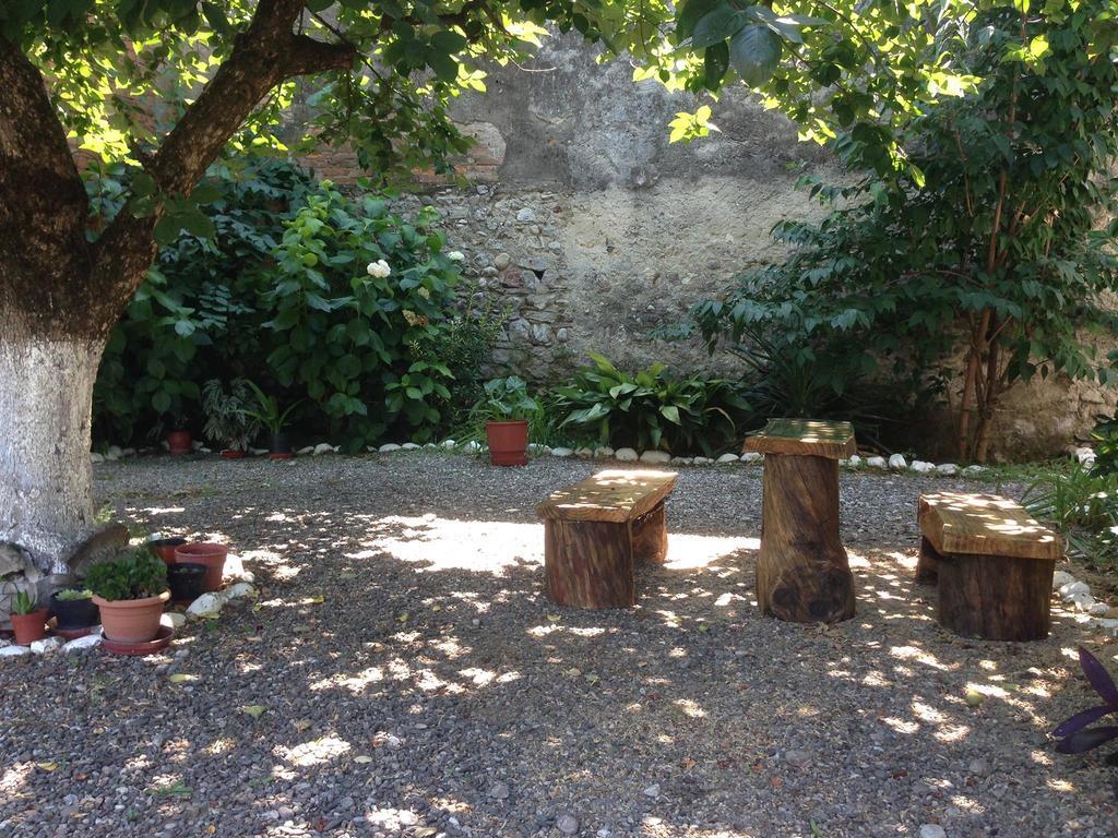 Eco Garten Guest House Shkodër Eksteriør billede