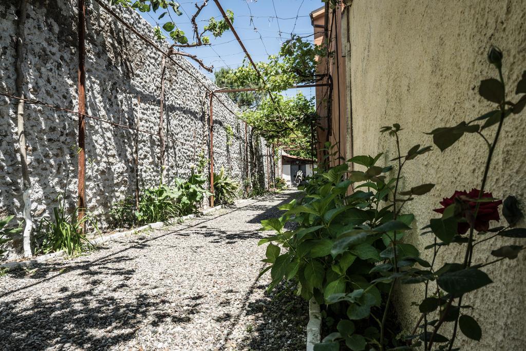 Eco Garten Guest House Shkodër Eksteriør billede
