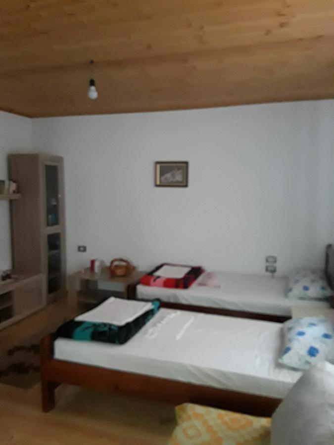 Eco Garten Guest House Shkodër Eksteriør billede