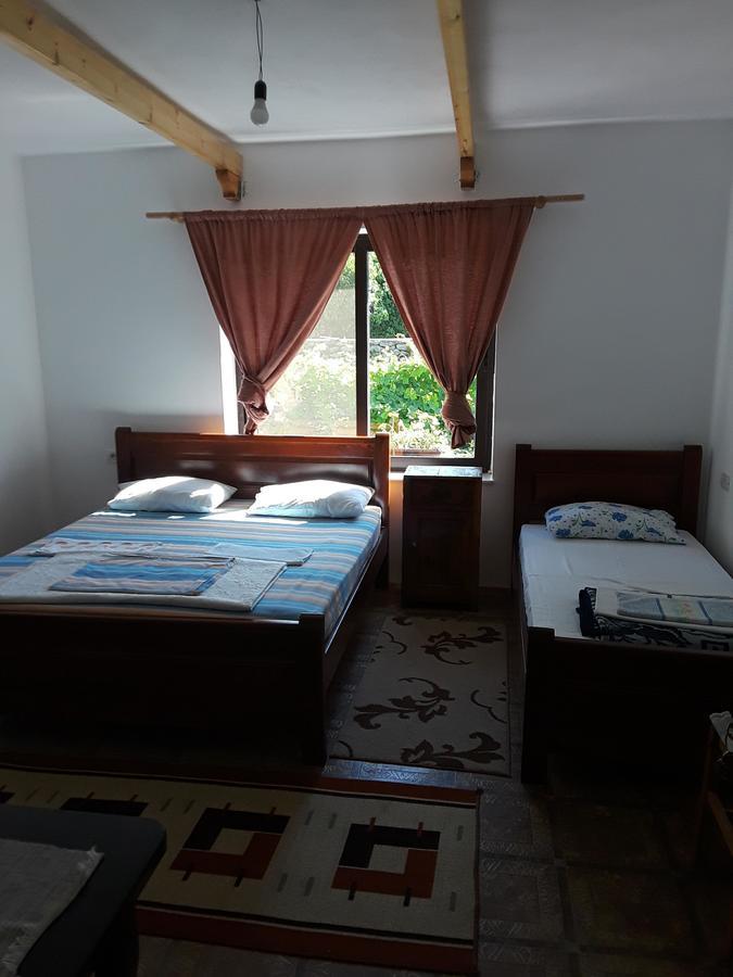 Eco Garten Guest House Shkodër Eksteriør billede