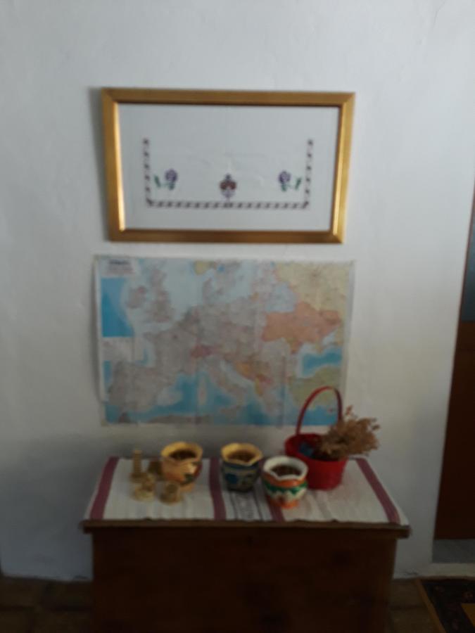 Eco Garten Guest House Shkodër Eksteriør billede